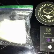 Frosty’s Auto Freak