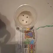 permanent marker xl auto