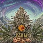 Cookies Kush