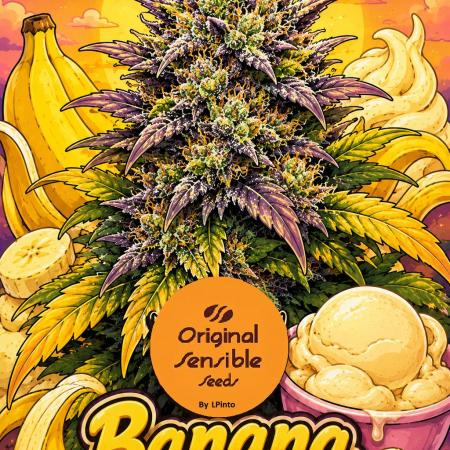 Banana Sherbet - Outdoor - Organic