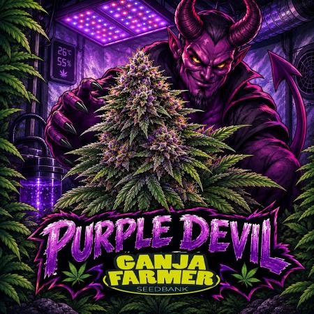 Purple Devil Auto - Organic