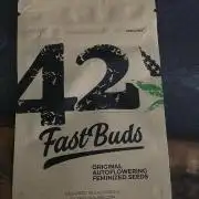 Big Bud Indica 5/18/26