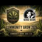 CCG SS Projekt