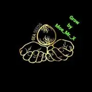 Gea Seeds