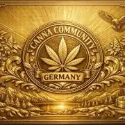 CCG OSS Projekt