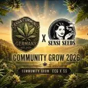 CCG SS Projekt