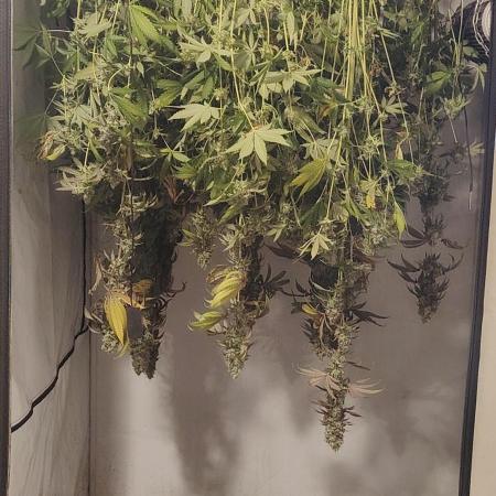 FUTURE F#1