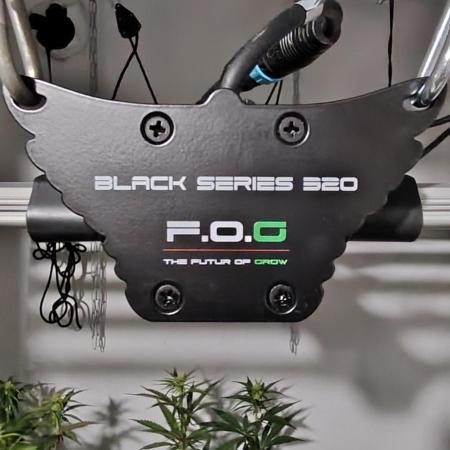 SUGAR CAKE E ORANGE FREEZE