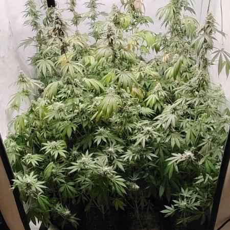 FUTURE F#1