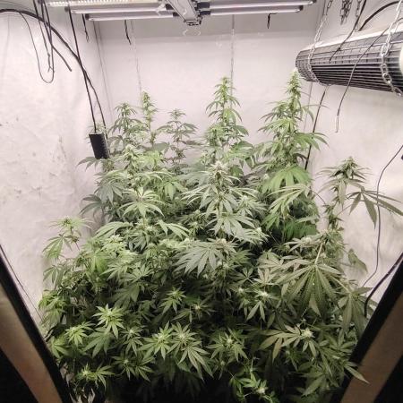 FUTURE F#1