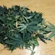 SUGAR CAKE E ORANGE FREEZE