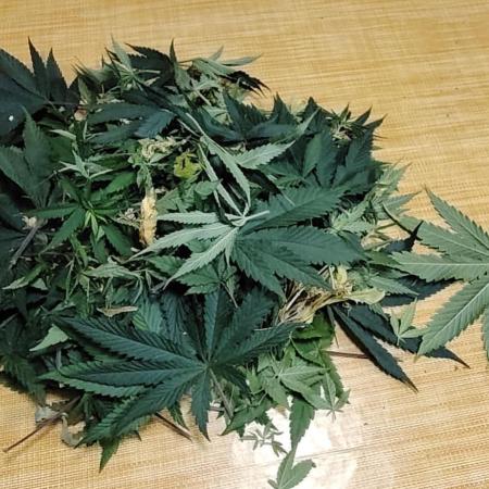 SUGAR CAKE E ORANGE FREEZE