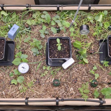 No-Till Run Nr. 5
