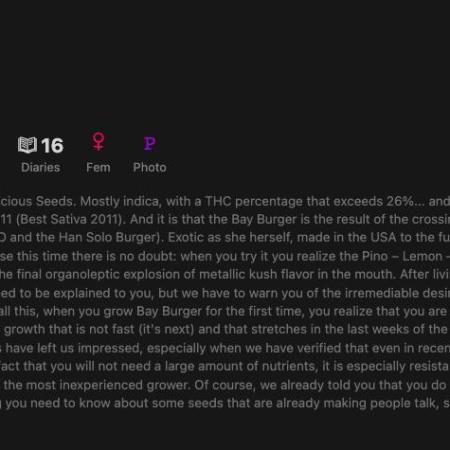 Bay Burger