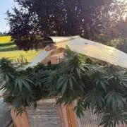 Outdoor 2026