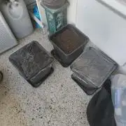 Outdoor Grow 23/04/2026