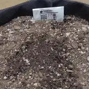 Banana cherry cookies auto fb