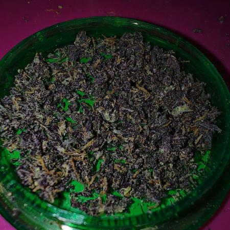 BSF Blueberry XXL auto | Express Diary