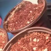 My first grows