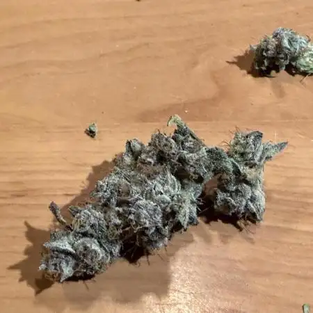 Super boof watergrow rdwc