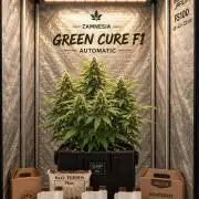 CBD & BioCANNA