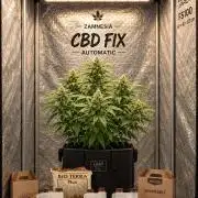 CBD & BioCANNA
