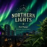 Nordlichter 001