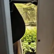 PM Auto