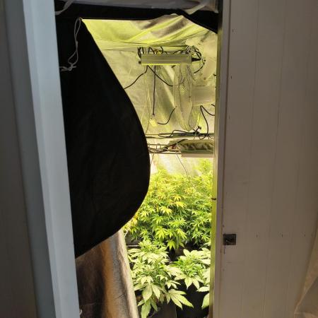 PM Auto