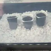 First time