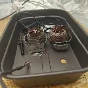 Herbal med adventure - Autopots
