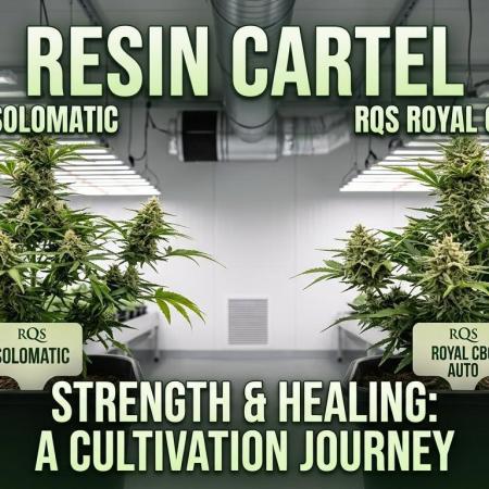 Herbal med adventure - Autopots