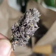 Brain Cake