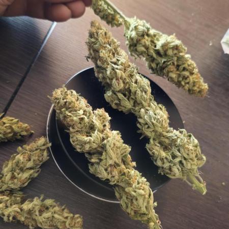 Northern Lights Blue