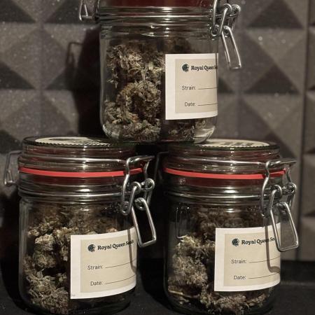 Blue Cheese Grow – First Run (2x2)