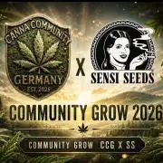 CCG SS Project
