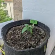 Outdoor 1