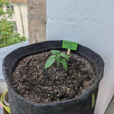 Outdoor 1