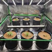 AI Controller Grow X42AI