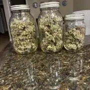 First grow