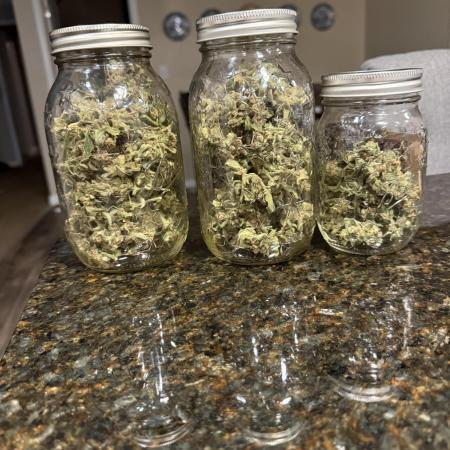 First grow