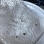 El Primero pero no el último
