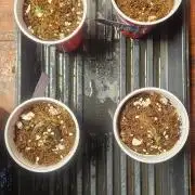 HomeGrow 2026 #3