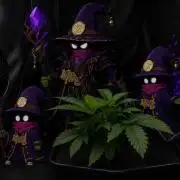 Black Orchard - Wizard trees