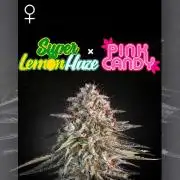 Hydro