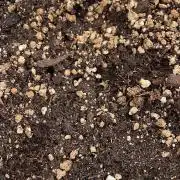 Cultivo Guerrilla 2026