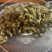 Pico Fast Buds RF3 Mix