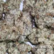 Dante⁸ Scrog Coco