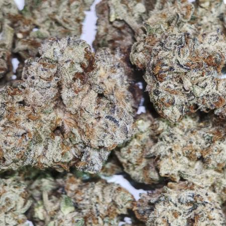 Dante⁸ Scrog Coco