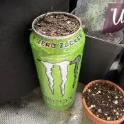 Auto Bomb /Green Bomb - Monster PG